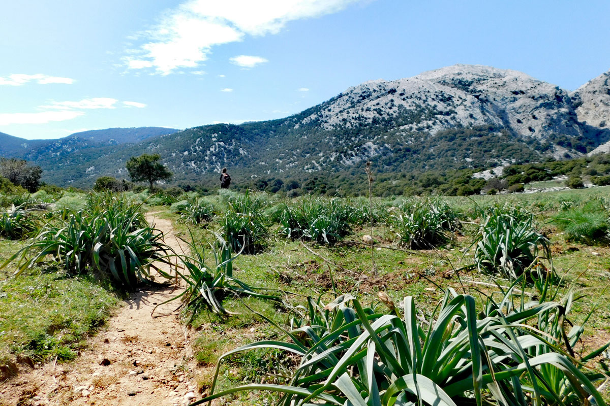 Canyoning-Badde-Petumas-Valle-Sa-Sovana